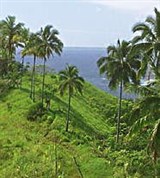 Гавайи (Каоио-Пойнт)