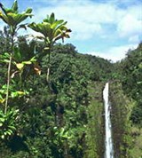 Гавайи (водопад Энджел)