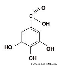 Галловая кислота