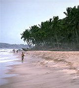 Гана (побережье вблизи Аккры) (2)