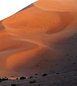 Ганьсу (пустыня Алашань)