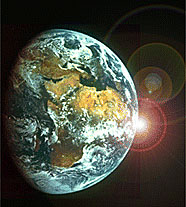 Геобиологическая сеть земли