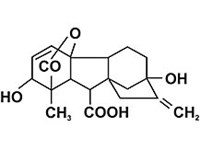 Гиббереллины