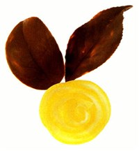 Глазурь шоколадная