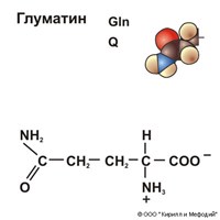Глутамин