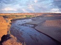 Гоби (пустыня)