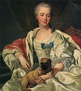 Голицына Екатерина Дмитриевна (портрет работы Ванлоо)