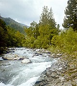 Горный Чарыш (Коргон)