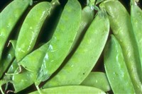 Горошек зеленый консервированный с рисом