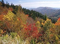 Грейт-Смоки-Маунтинс (национальный парк)