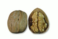 Грецкий орех [кулинария]