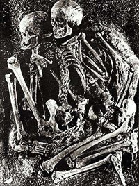 Гримальдийская раса