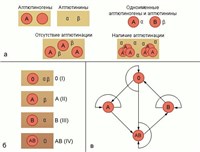 Групповые свойства крови