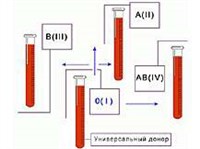 Группы крови