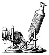 Гук Роберт (микроскоп)