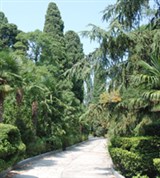 Гурзуф (парк санатория «Пушкино»)