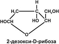 ДЕЗОКСИРИБОЗА