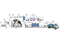 ДОИЛЬНАЯ УСТАНОВКА (схема)