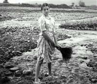 ДРЕВО ЖЕЛАНИЯ (кадр из фильма)