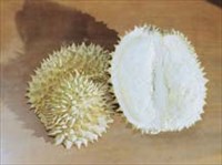 ДУРИАН (плод)