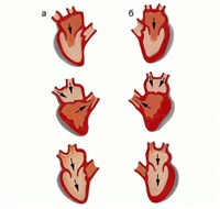 Давление в полостях сердца в разные фазы сердечного цикла