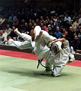 Дайдо-джуку (состязания) [спорт]