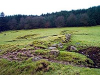 Дартмурский национальный парк (пейзаж)
