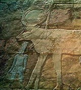 Дейр-эль-Бахри