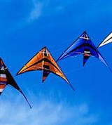 Дельтапланерный спорт (группа дельтапланов)