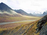 Денали (панорама)