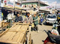 Дехрадун (на улицах города)