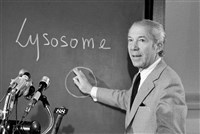 Де Дюв Кристиан