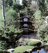 Джексон (восточные сады)