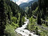 Джунгарский Алатау (горный ручей)