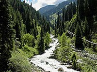 Джунгарский Алатау (горный ручей)