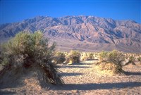 Долина смерти (Дьявольское поле)