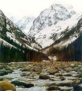 Домбайская поляна (У подножья гор)