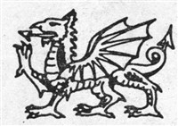 Дракон (символ)