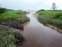 Дренажный канал (Суринам)