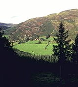 Дублин (окрестности)