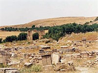 Дугга (вид на триумфальную арку Септимия Севера)