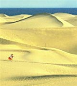 Дюны (Гран-Канария)