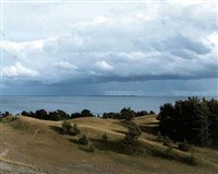 Дюны (Куршская коса)