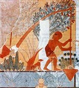 Египет Древний (шадуф)