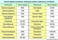 ЖИВОЕ ВЕЩЕСТВО (виды)