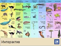 ЖИВОТНЫЙ И РАСТИТЕЛЬНЫЙ МИР (цифры и факты)
