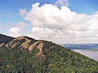 ЖИГУЛЕВСКИЙ ЗАПОВЕДНИК (Зольненская гора)