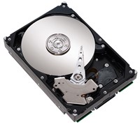 Жесткий диск (Seagate NL35 400GB)