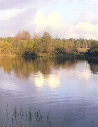 ЗАВОДЬ (Дон)