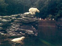 ЗООЛОГИЧЕСКИЙ ПАРК (Берлинский зоопарк)